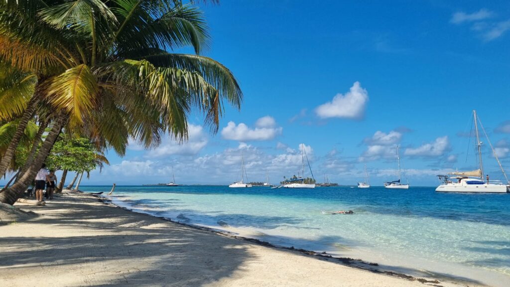 EN: A white sand beach lined with palm trees on the left and the ocean on the right. In the center, fine white sand. In the water, several boats are visible — including Mama Beluga, the sailboat behind our custom sailing coaching services. FR : Photo d'une plage de sable blanc, avec des palmiers sur la gauche et l'océan sur sur la droite, au centre une plage de sable fin blanc. Sur la partie de l'océan, nous pouvons apercevoir plusieurs bateaux, dont le voilier Mama Beluga, bateau de l'entreprise spécialiste en coaching nautique